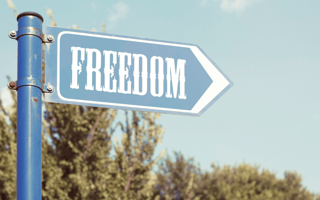 Why Owning A Franchise Can Give You a Sense of Freedom